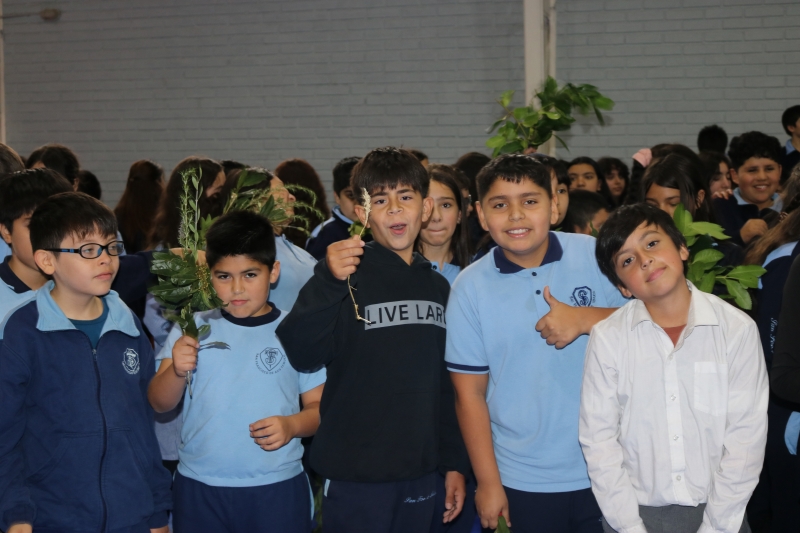 Celebración de Ramos